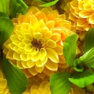 Meet your Posher, Edith